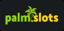 PalmSlots Sports Logo