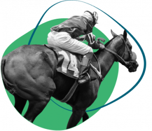Horse racing and betting online have their specialized sportsbooks