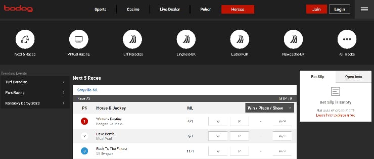 Horse racing betting Canada Bodog