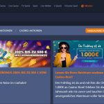 Cashalot Gallery