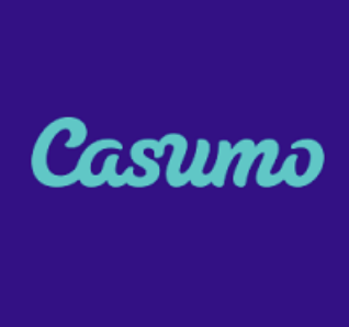 casumo IE Logo
