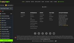 Weltbet IE Gallery