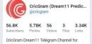 CricGram Cricket Telegram Logo
