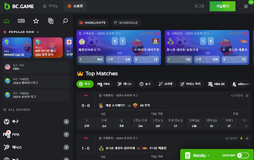 토토사이트 BC.Game korea