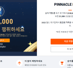 피나클(Pinnacle) Gallery