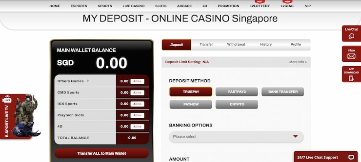 12Play Review 12Play Deposit Page