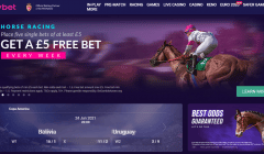 vbet Gallery