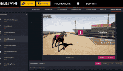 mobilewins Gallery