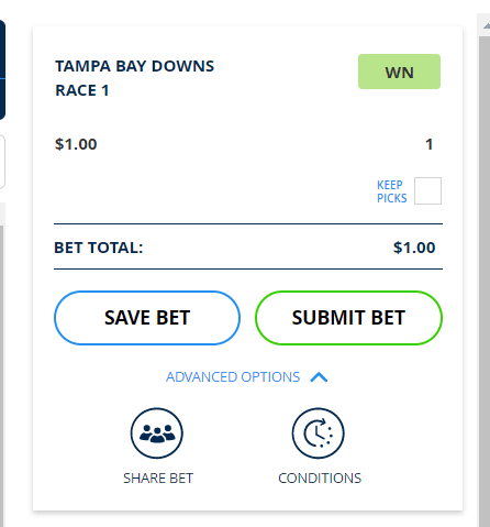 Kentucky derby betting - betslip