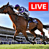 live horse racing betting