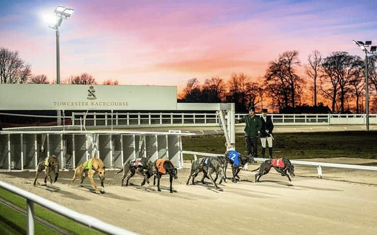 Towcester dog racing