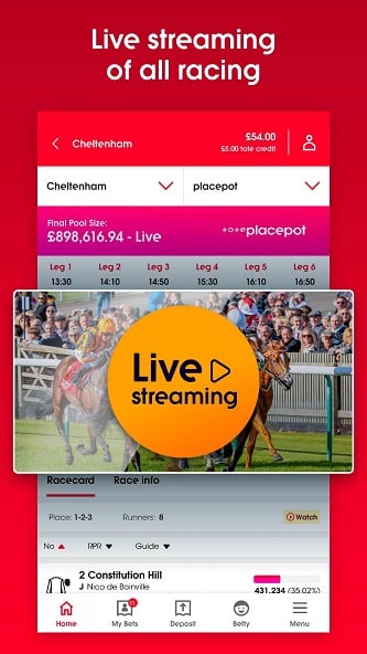 Tote horse racing betting apps C