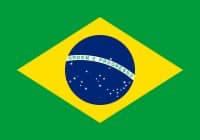 Brazil flag logo