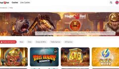 Magic Red Gallery