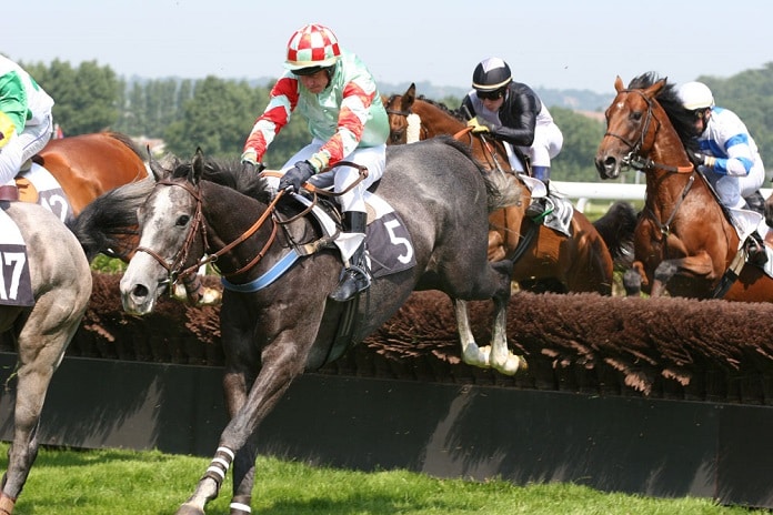 view today's racecards on the latest horse racing action